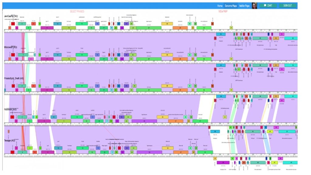 An infographic showing genes represented as boxes above DNA sequence data.