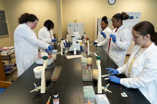 Group of five students doing molecular biology benchwork.