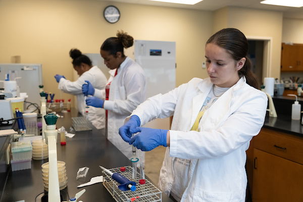 Three students doing molecular biology work at a lab bench.