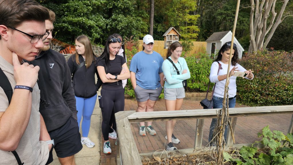 Eight students standing around and examining a botanical display.