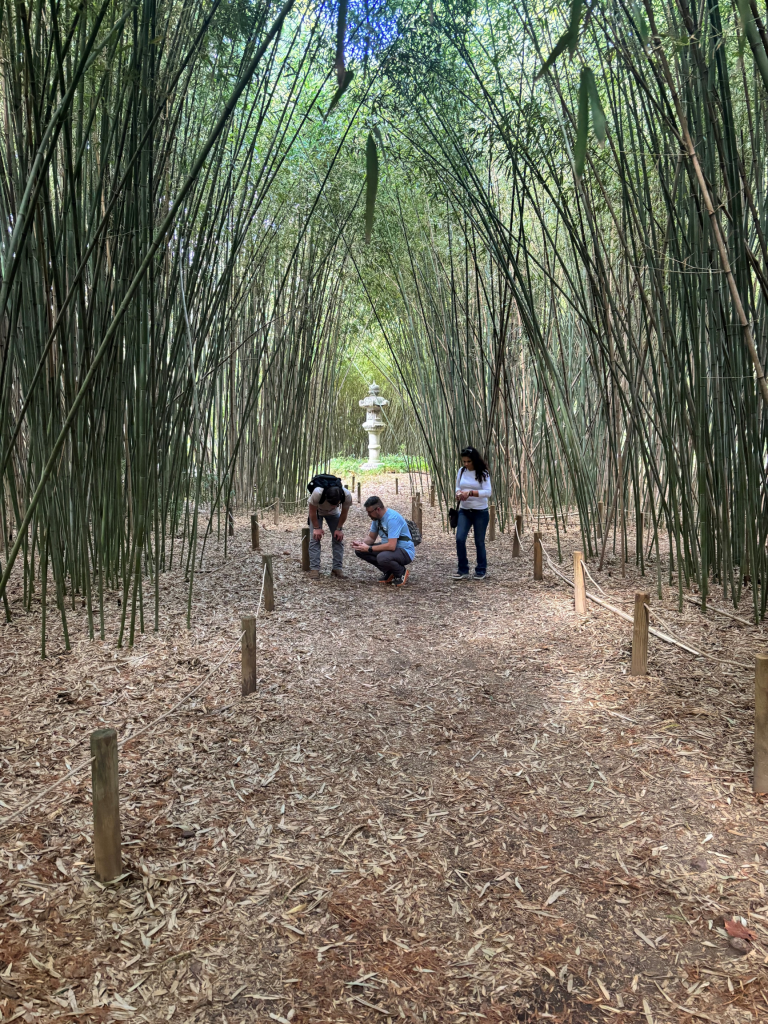 Two students and an instructor bent over, examining plant specimens on a trail.