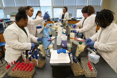 New fall classes focus on research and discovery for first-year students